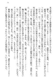 僕には家事妖精なメイドがいます, 日本語