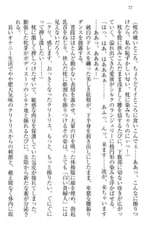 僕には家事妖精なメイドがいます, 日本語