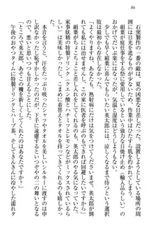 僕には家事妖精なメイドがいます, 日本語