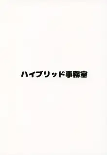 ハイブリッド通信vol.29, 日本語