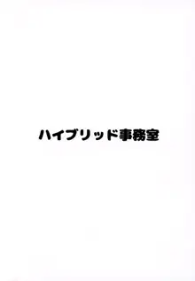 ハイブリッド通信vol.28, 日本語