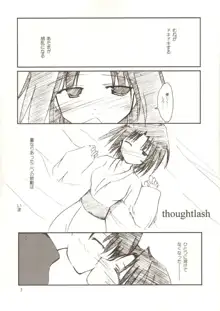 thoughtlash, 日本語