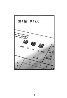 いえでなこ, 日本語