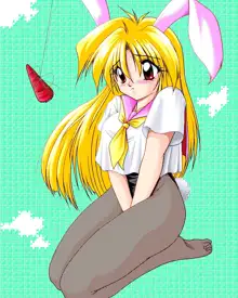 Sailor Bunny Gashuu Sono Ichi, 日本語