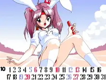 Sailor Bunny Gashuu Sono Ichi, 日本語