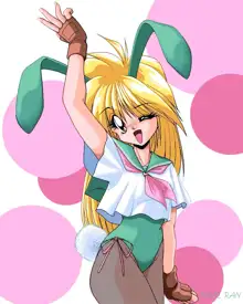 Sailor Bunny Gashuu Sono Ichi, 日本語