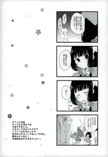 ここから先は進めません!, 日本語