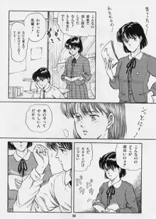 風の東の月の森, 日本語