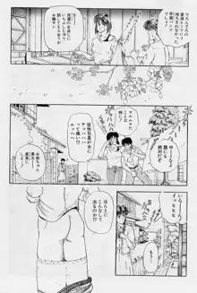 風の東の月の森 3, 日本語