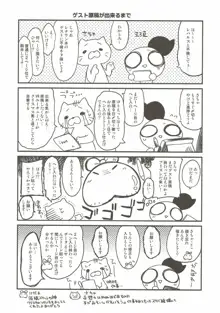 ケッコンしたからいいよねレナウン!?, 日本語