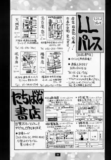 脳髄幻戯 II, 日本語