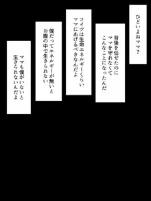 秘密結社ベルグレー～寄生怪人の魔の手～, 日本語