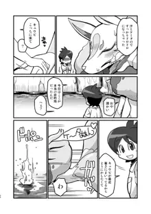 俺の夏2017, 日本語