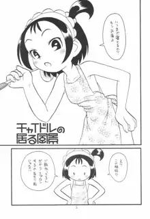 貧乳娘 Vol.11, 日本語