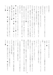 迷妄淫欲稗史新宿 英隷堕淫狂宴, 日本語