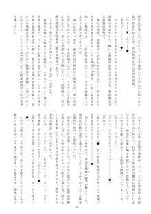 迷妄淫欲稗史新宿 英隷堕淫狂宴, 日本語