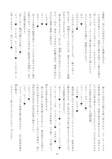 迷妄淫欲稗史新宿 英隷堕淫狂宴, 日本語