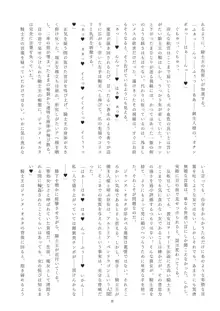 迷妄淫欲稗史新宿 英隷堕淫狂宴, 日本語