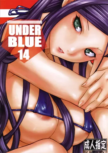 UNDER BLUE 14, 日本語