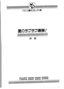 愛のラブラブ爆弾！, 日本語