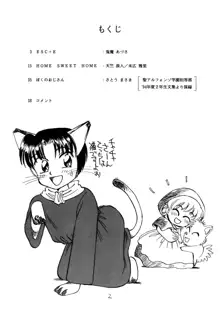 PUSSYCAT BOY, 日本語