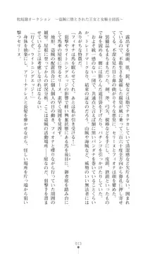 イセリア英雄戦記 【購入特典】, 日本語