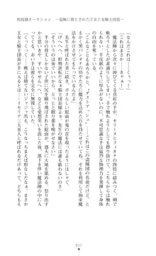 イセリア英雄戦記 【購入特典】, 日本語