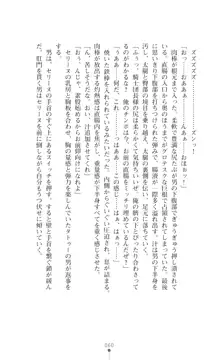 イセリア英雄戦記 【購入特典】, 日本語