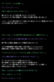 洗脳されてしまった王女と仲間たち, 日本語