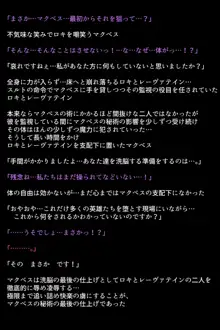 洗脳されてしまった王女と仲間たち, 日本語