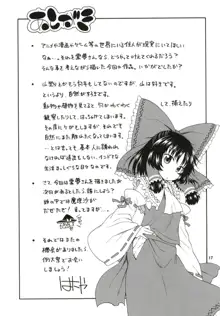 東方迷込～霊夢編～, 日本語