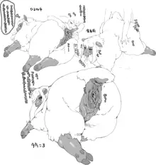 Nezumi's Work (all- yiff, pokemon, anime) 2009, 日本語