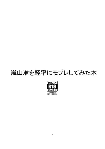 嵐山准を軽率にモブレしてみた本, 日本語