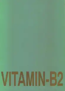 Vitamin-B2, 日本語