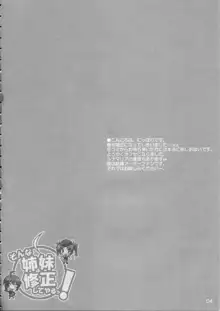 そんな姉妹修正してやるっ!, 日本語