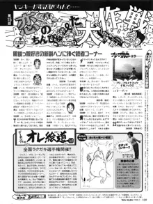 Tech Gian Issue 15, 日本語