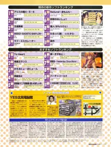 Tech Gian Issue 15, 日本語