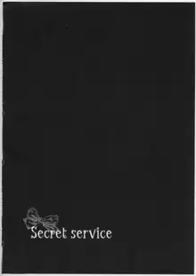 Secret Service, 日本語