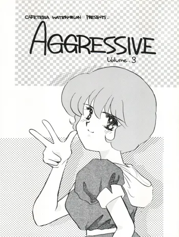 AGGRESSIVE Vol.3, 日本語