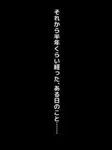 高○生になって初めてできた地味だけど僕にとっては最高に可愛い彼女がチャラ男にネトラレていた話の裏側, 日本語