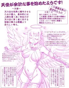 悪魔娘監禁日誌11, 日本語