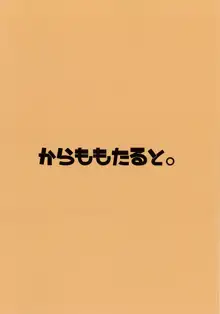 古明地さとりと新しいペット, 日本語