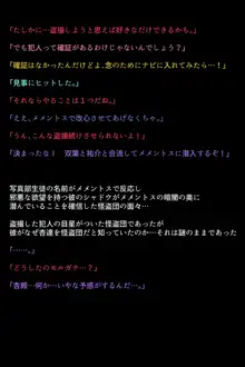 淫乱にされてしまった怪盗団と仲間たち!?, 日本語