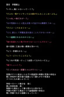 淫乱にされてしまった怪盗団と仲間たち!?, 日本語