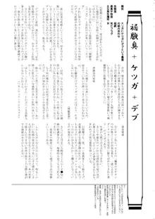 東方臭いフェチ合同誌 ～臭気例大祭～幽雅に臭え、乙女の臭い-Border of smell-, 日本語