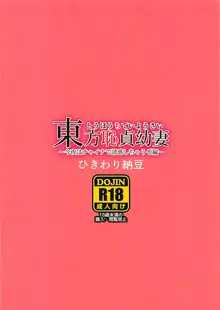 東方恥貞幼妻 ～今夜はチャイナで誘惑しちゃうぞ編～, 日本語