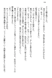 ジャンヌ・ダルクですが召喚されて邪メイドやってます, 日本語