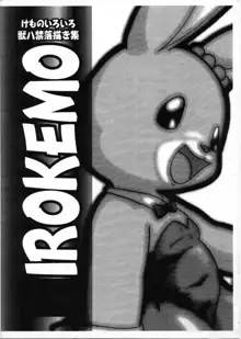 Irokemo, 日本語