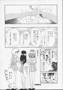 ニセモノ 3, 日本語