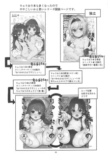 りゅうおうのきゅうじつ・表, 日本語